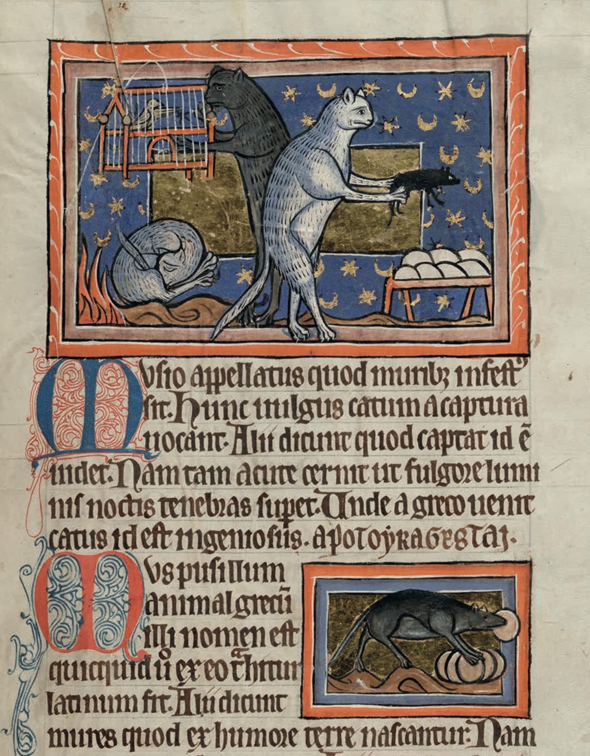Cats in Medieval Manuscripts - Image 3