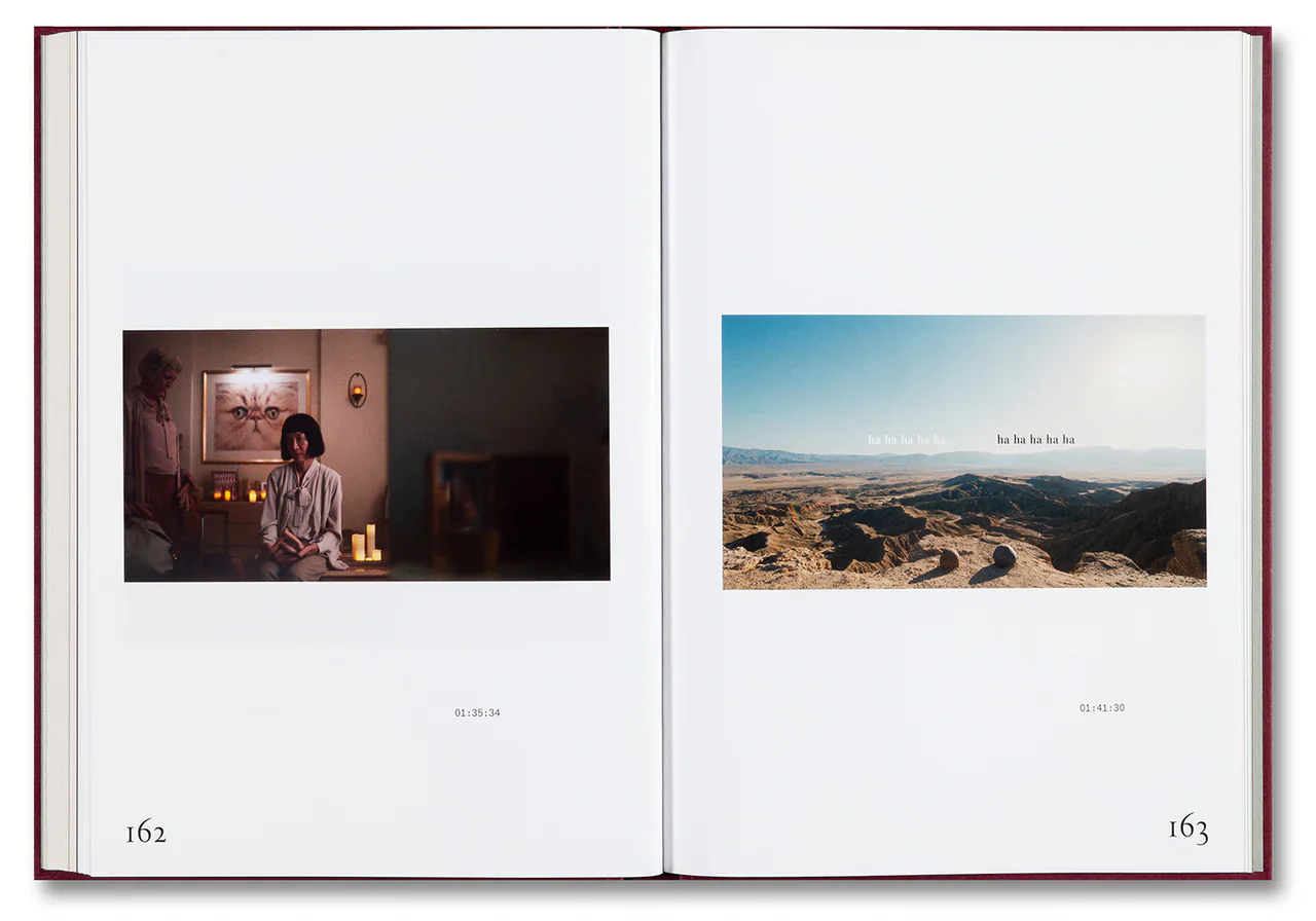 Everything Everywhere All at Once Screenplay Book - Image 4