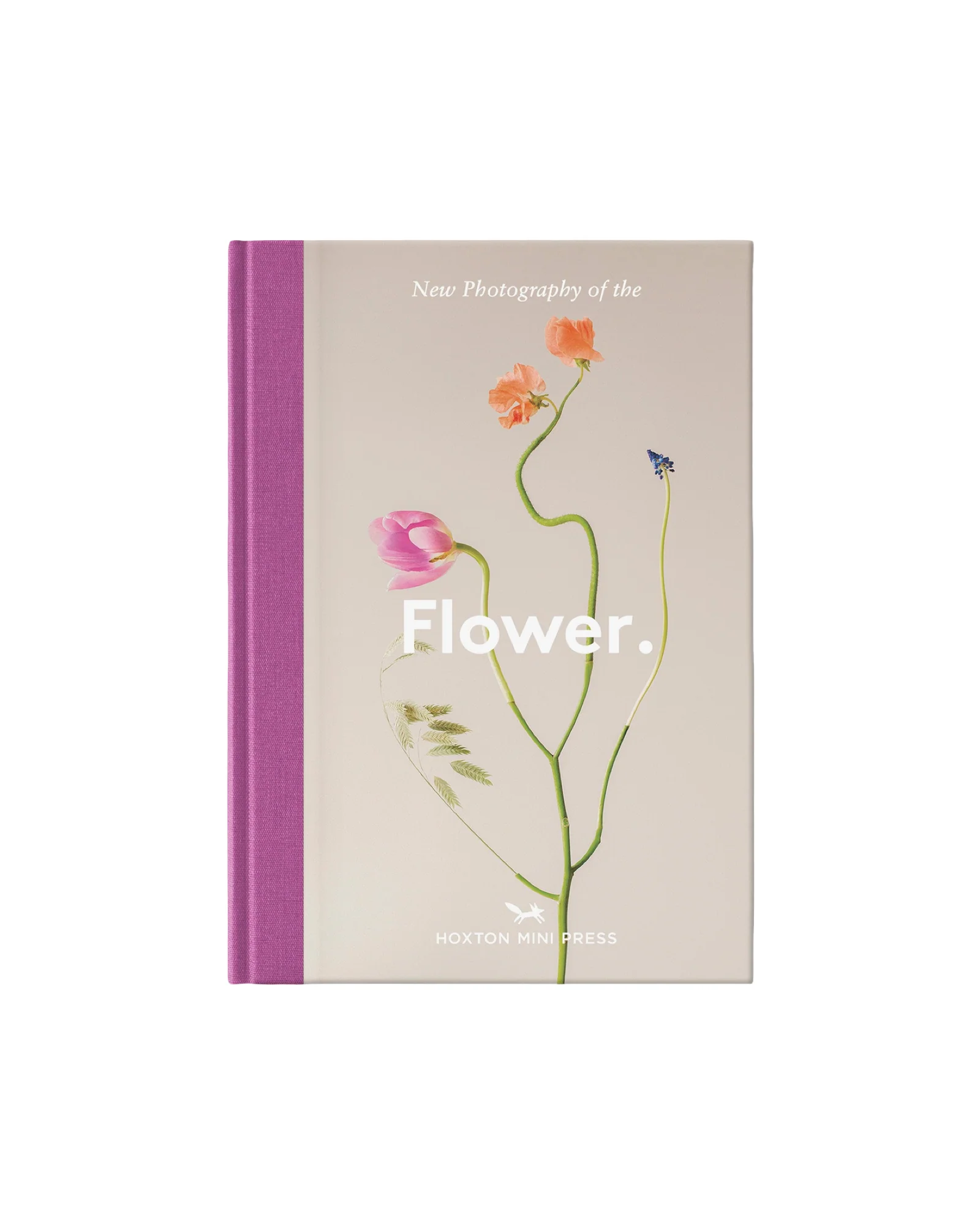 Flower.
