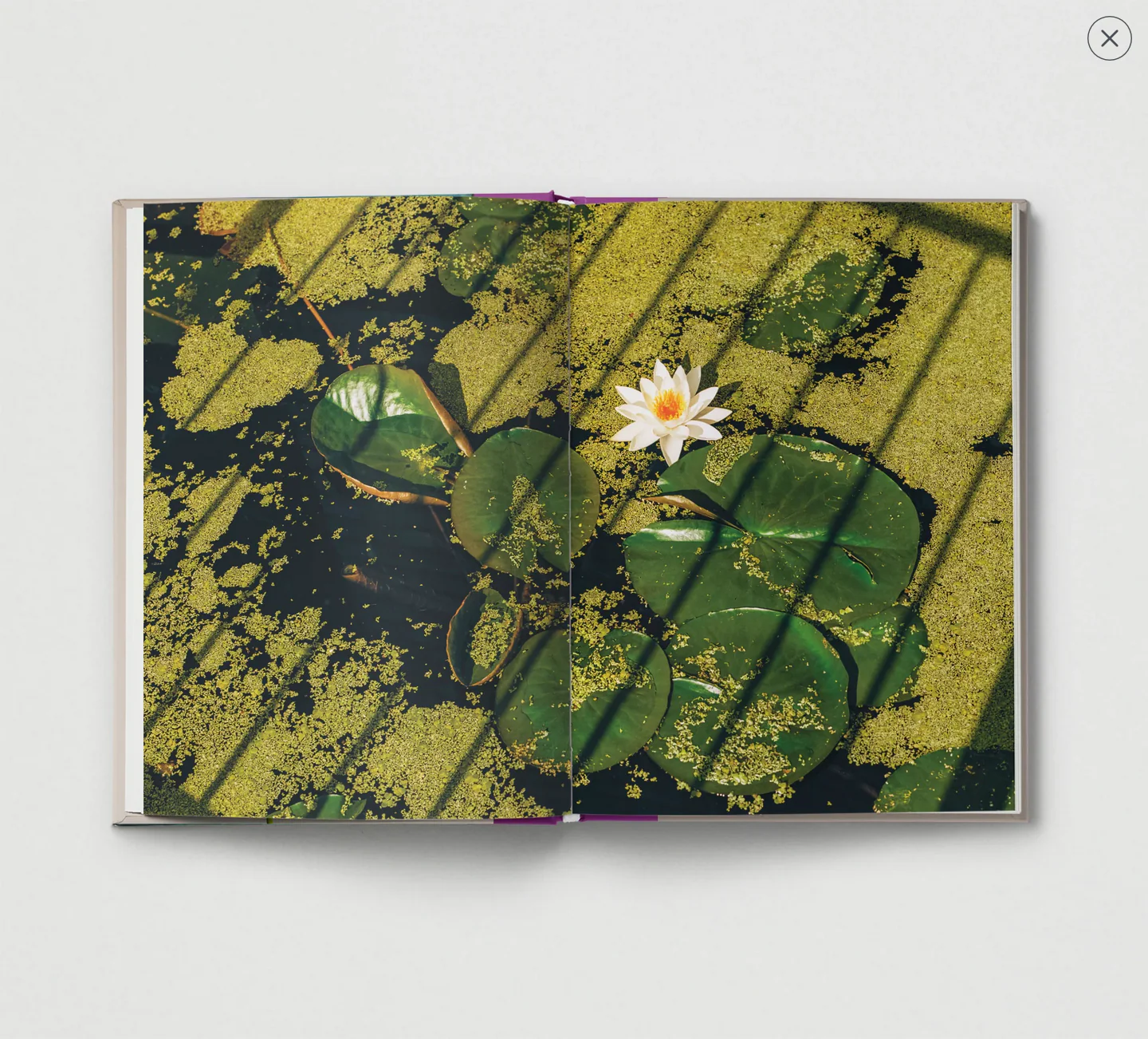 Flower. - Image 2