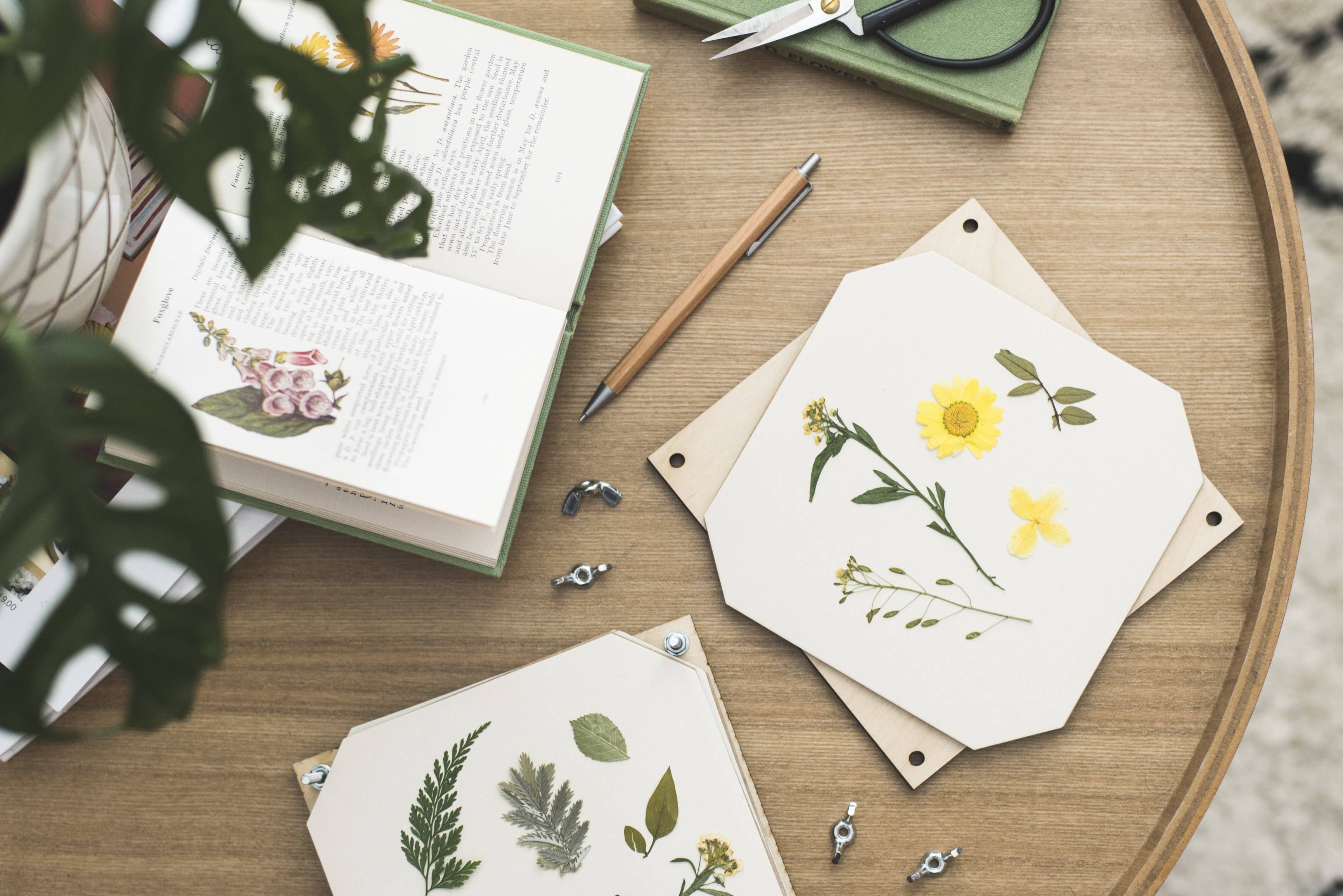 Flower Press / Daisy - Image 4