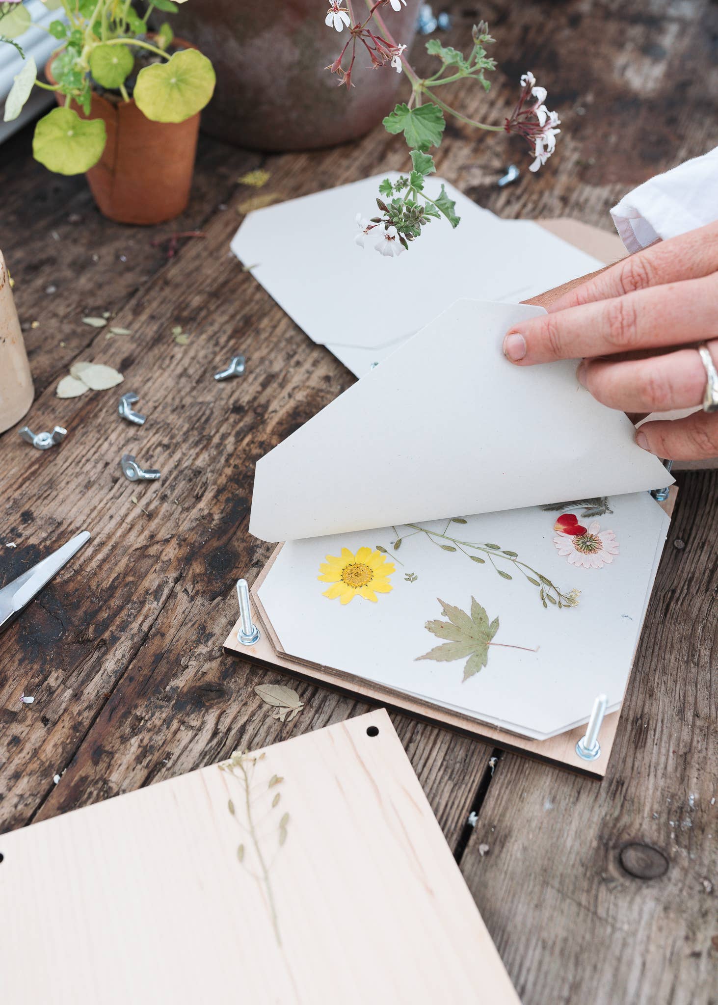 Flower Press / Dandelion - Image 3
