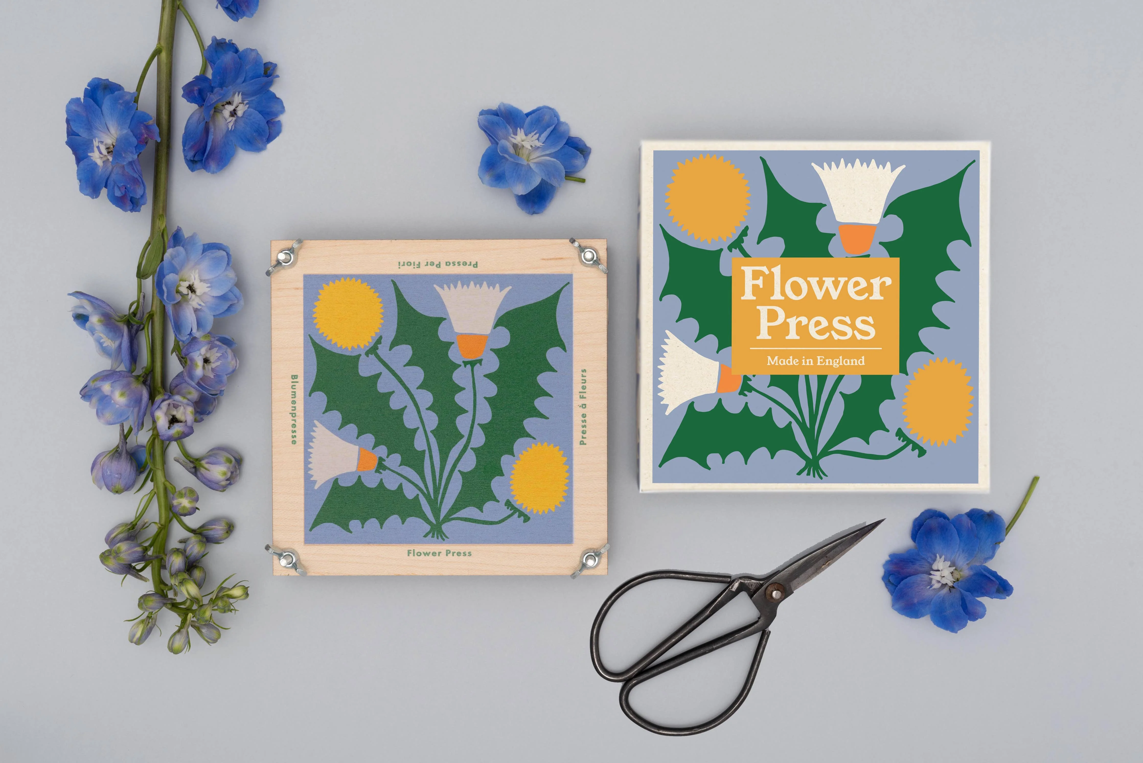 Flower Press / Dandelion - Image 5