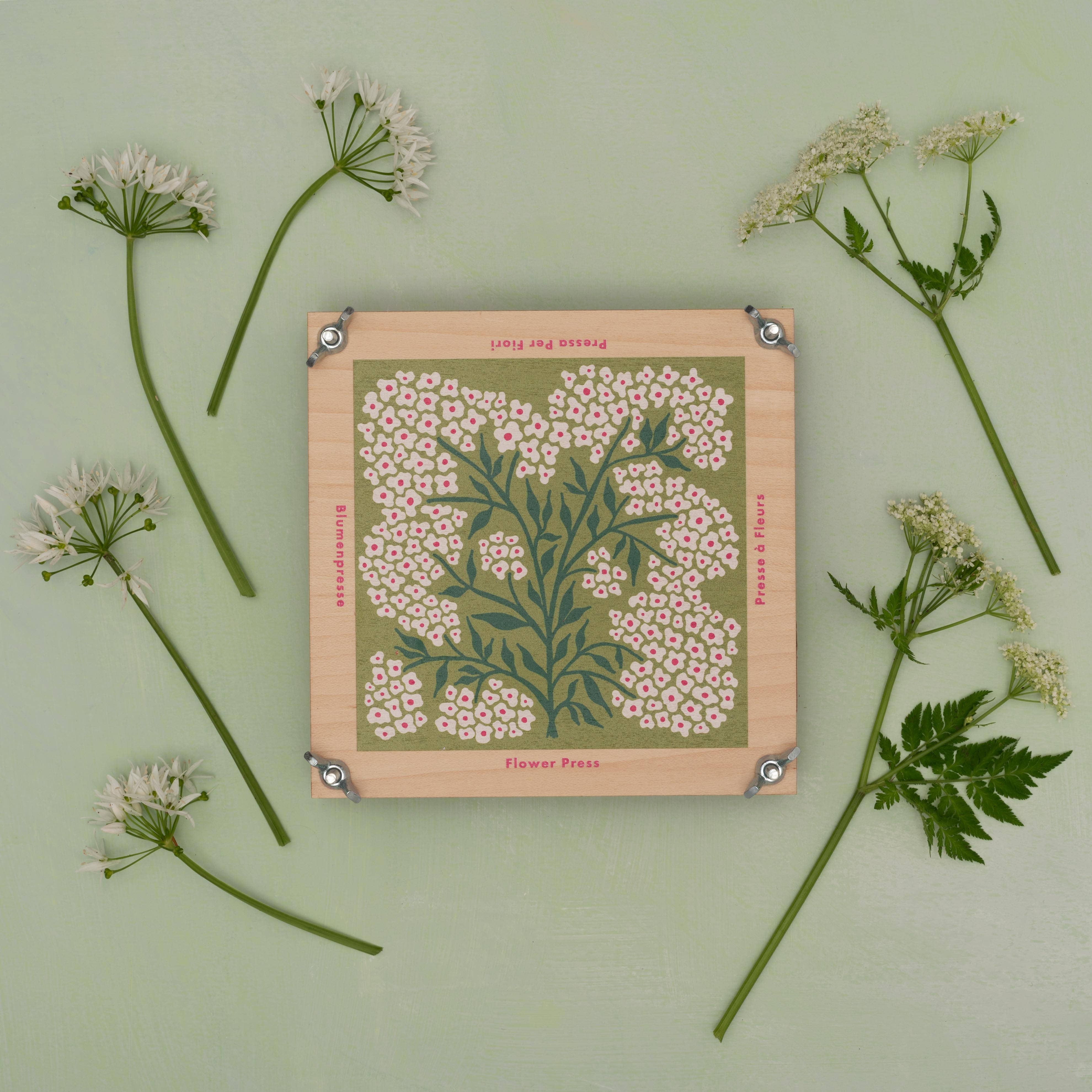 Flower Press / Forget Me Not - Image 4