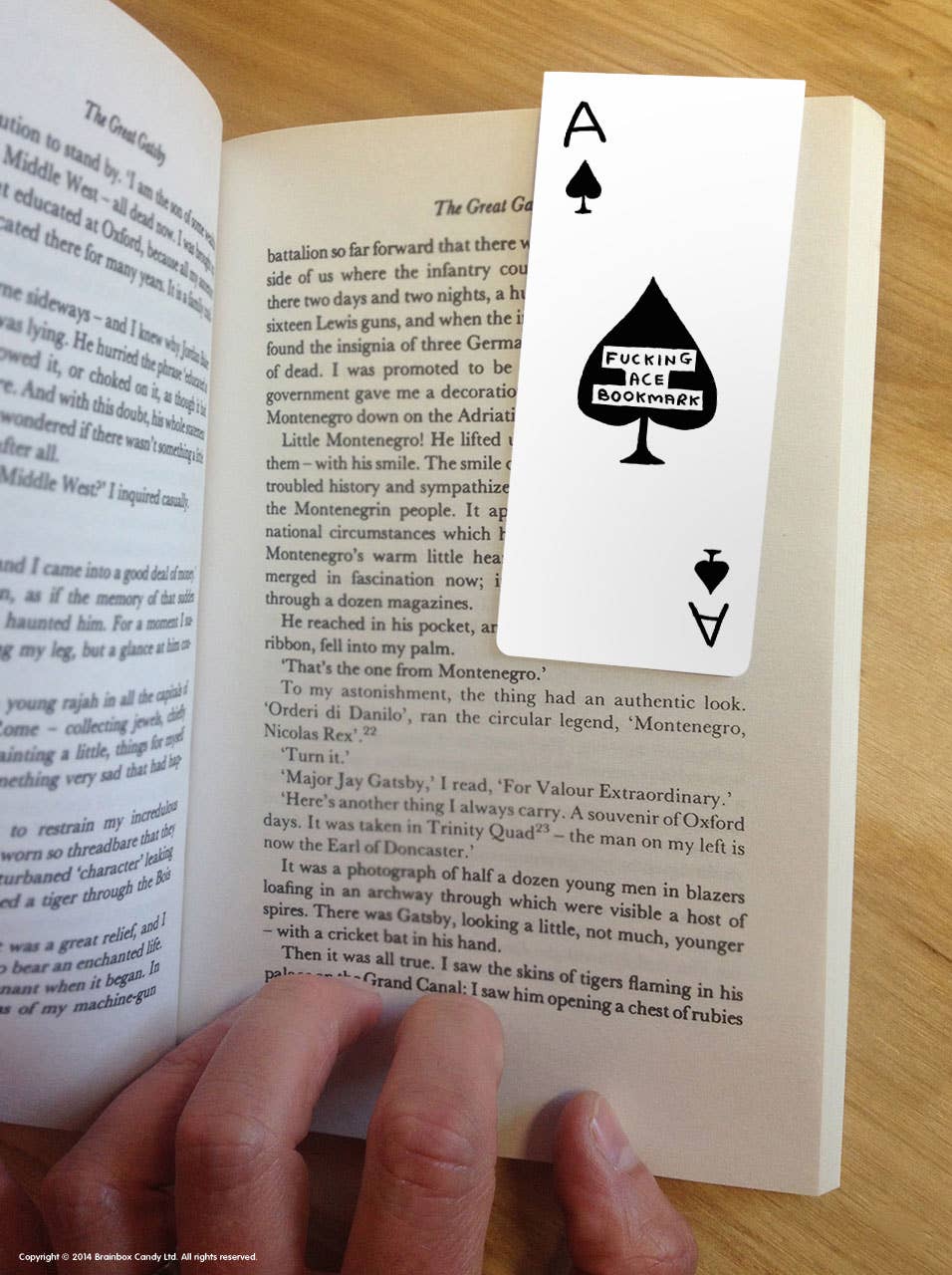 Fucking Ace - Shrigley Magnetic Bookmark - Image 2