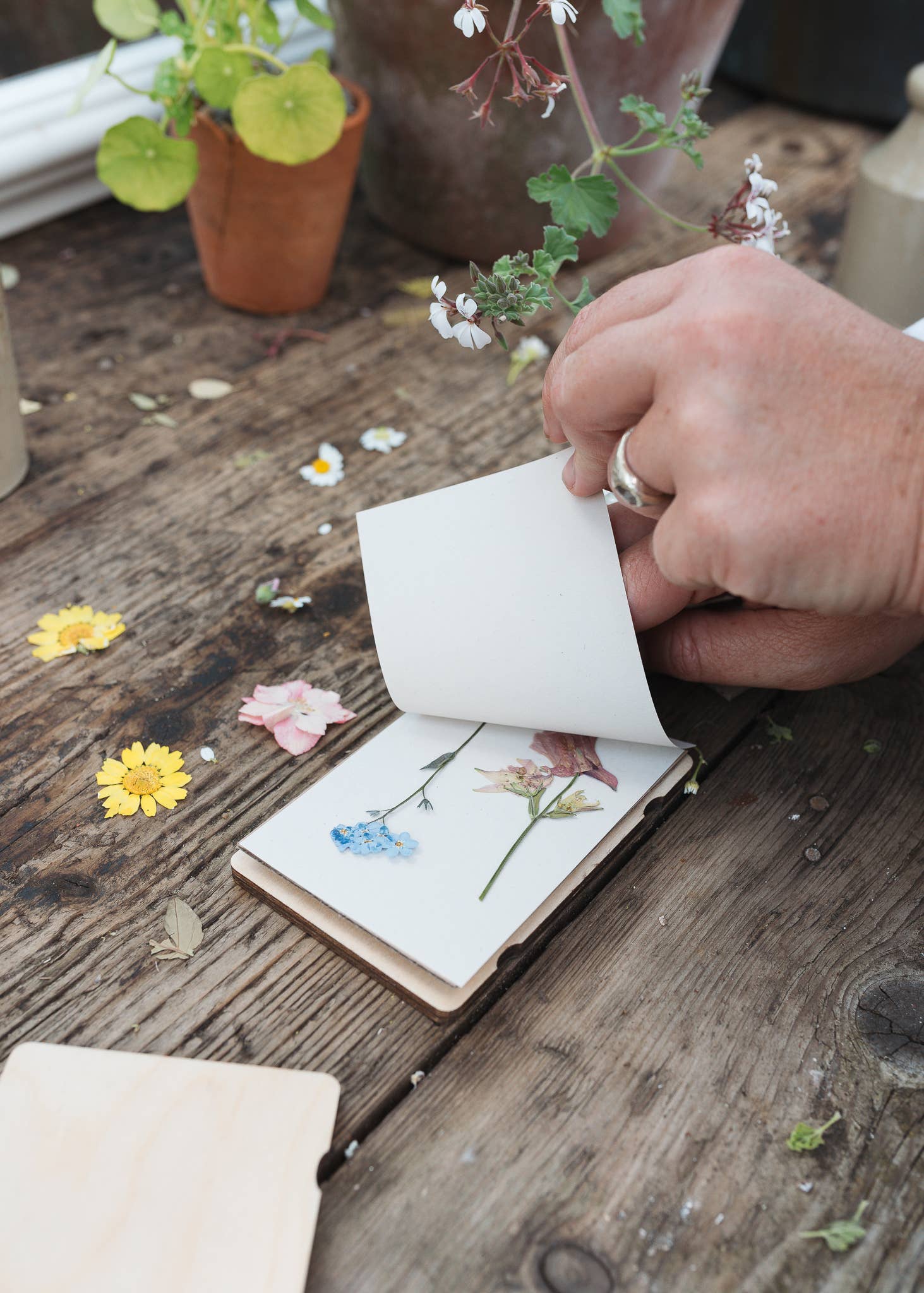 Pocket Flower Press / Teasel - Image 3