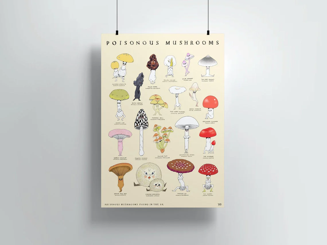 Poisonous Mushrooms A3 Print - Image 2