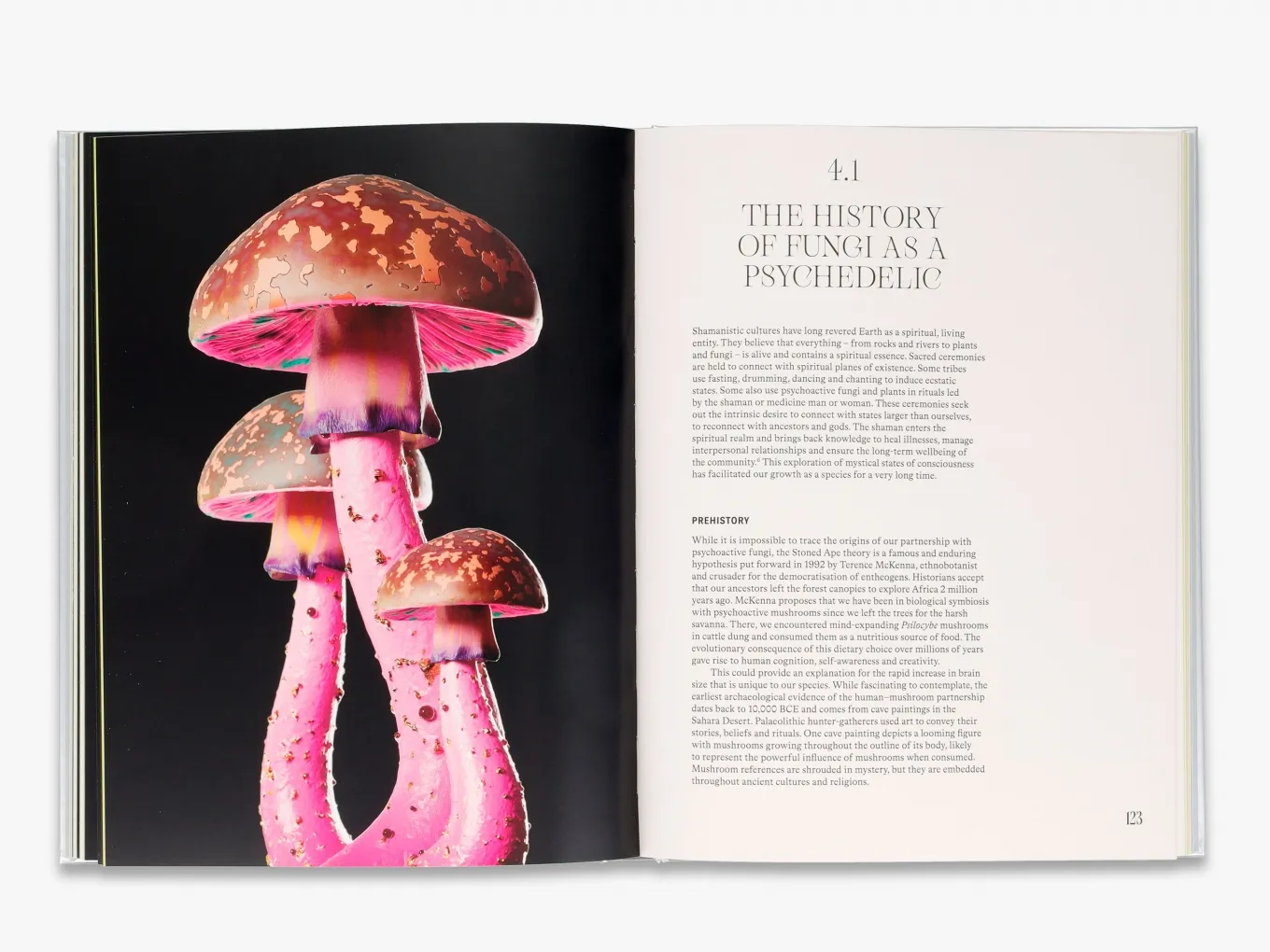 The Future is Fungi - Image 2