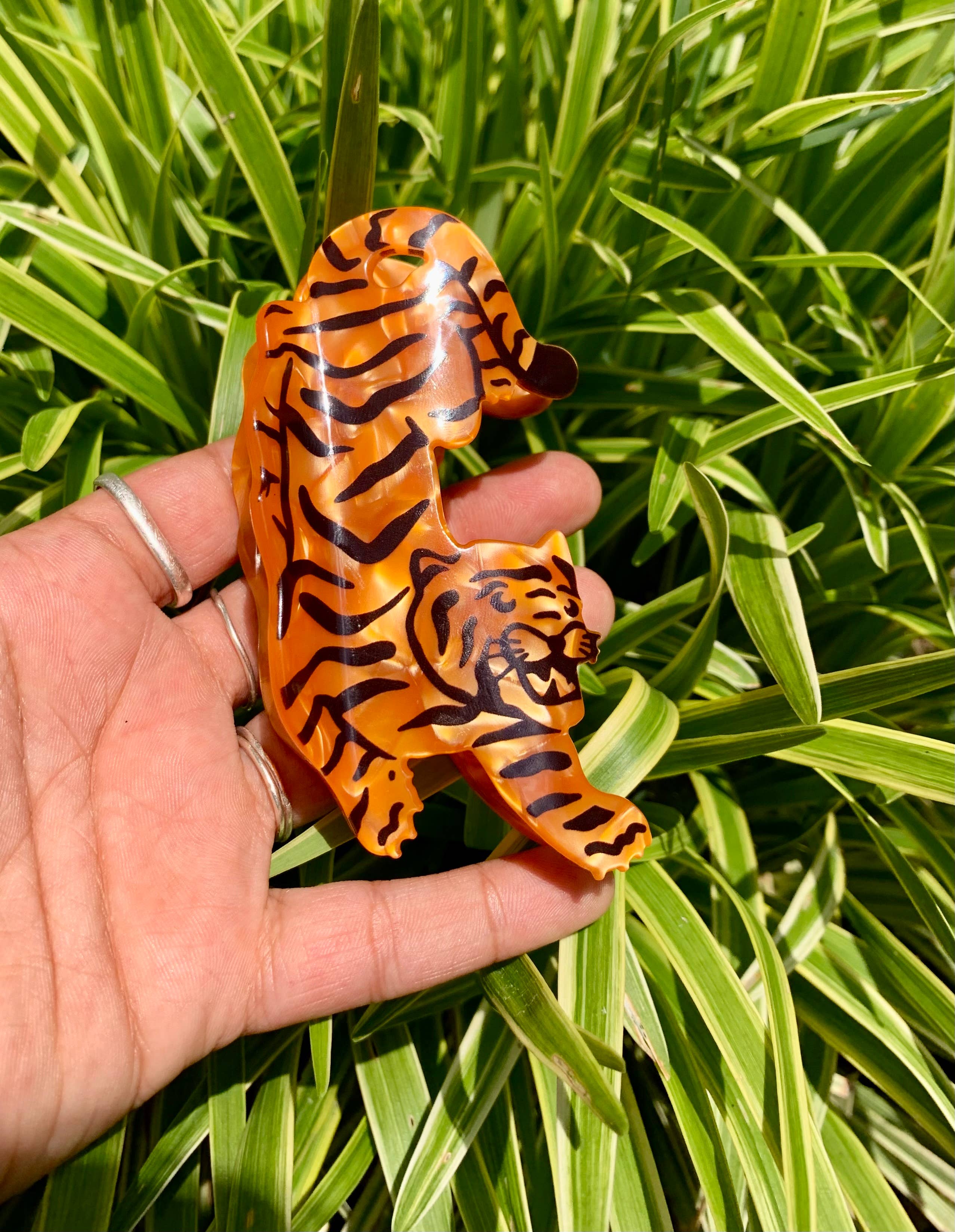 Tiger Hair Claw  - Image 3